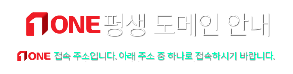 평생 도메인 안내